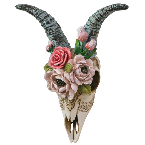 Animal ram skull - wall, decor